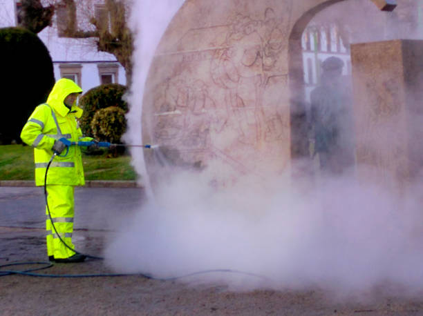 Best Local Pressure Washing Services  in Pahala, HI
